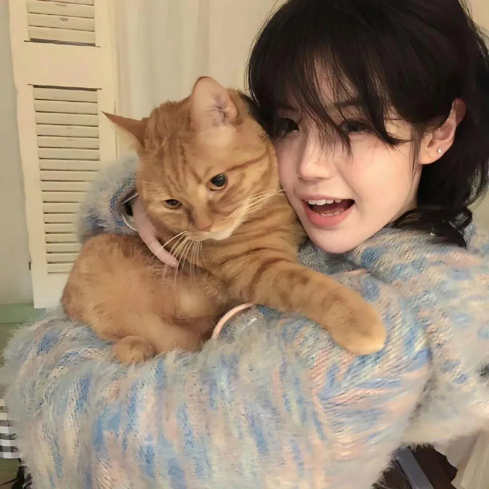猛虎末路剧情